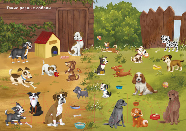 Изображение товара Развивающая книга Робинс Наклейки с заданиями. Такие разные животные