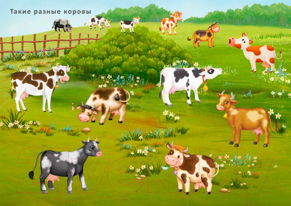 Изображение товара Развивающая книга Робинс Наклейки с заданиями. Такие разные животные