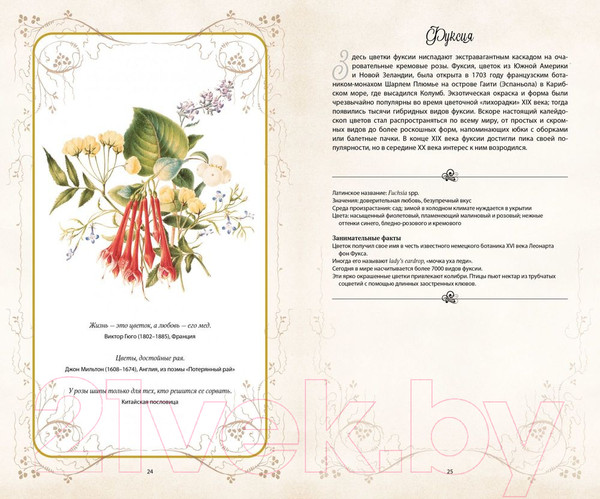 Изображение товара Книга КоЛибри Тайный язык цветов (Дэвис Дж., Сондерс Дж.)