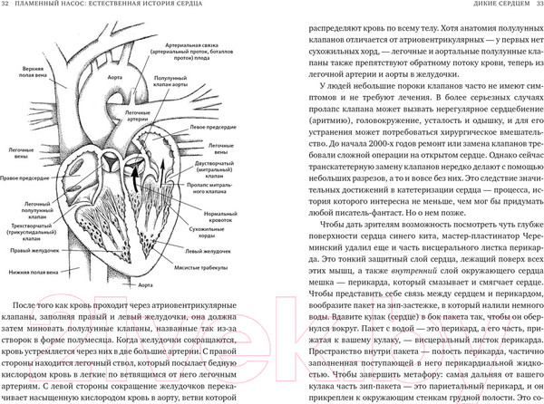 Изображение товара Книга КоЛибри Пламенный насос. Естественная история сердца (Шутт Б.)