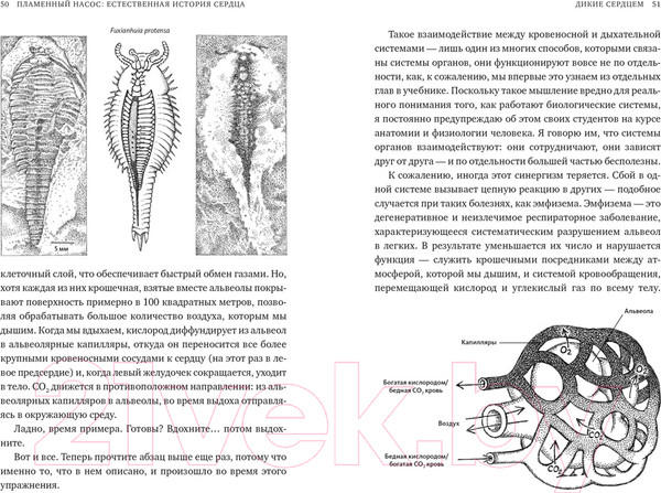 Изображение товара Книга КоЛибри Пламенный насос. Естественная история сердца (Шутт Б.)