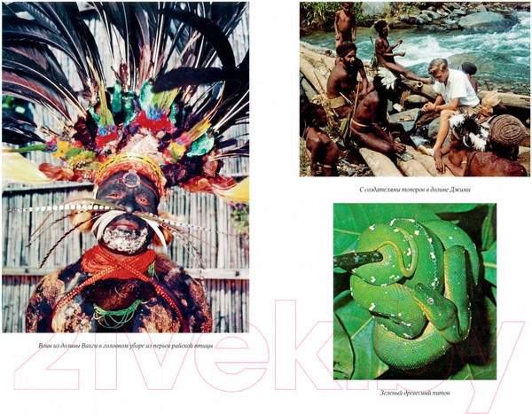 Изображение товара Книга КоЛибри Путешествия на другую сторону света (Аттенборо Д.)