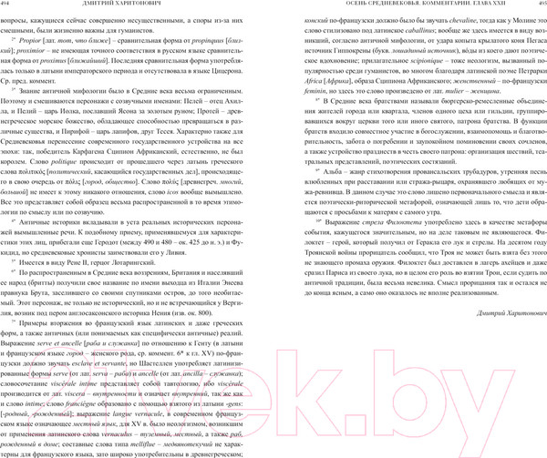 Изображение товара Книга КоЛибри Осень Средневековья. Homo ludens. Эссе (Хейзинга Й.)