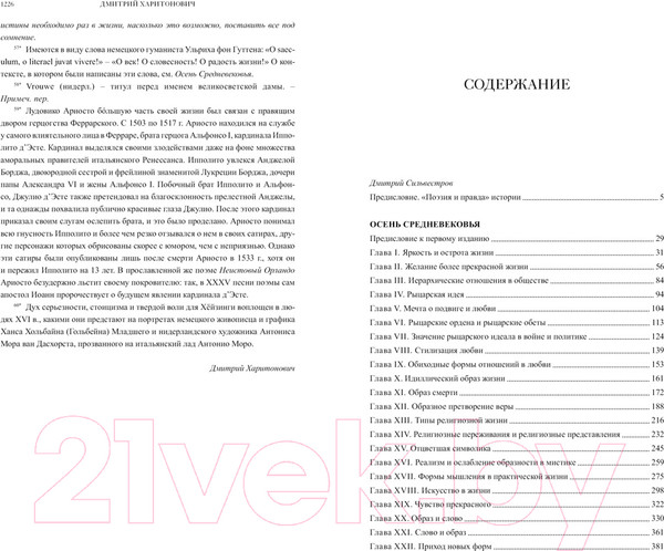 Изображение товара Книга КоЛибри Осень Средневековья. Homo ludens. Эссе (Хейзинга Й.)