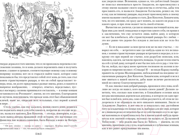 Изображение товара Книга Иностранка Хитроумный идальго Дон Кихот Ламанчский (Сервантес М.)