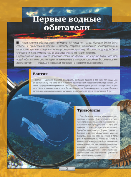 Изображение товара Энциклопедия АСТ Подводный мир с дополненной реальностью (Кошевар Дмитрий, Ликсо Вячеслав)
