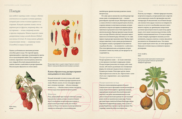 Изображение товара Книга КоЛибри Ботаника для садоводов (Ходж Дж.)