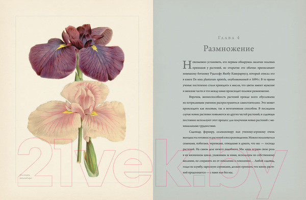 Изображение товара Книга КоЛибри Ботаника для садоводов (Ходж Дж.)