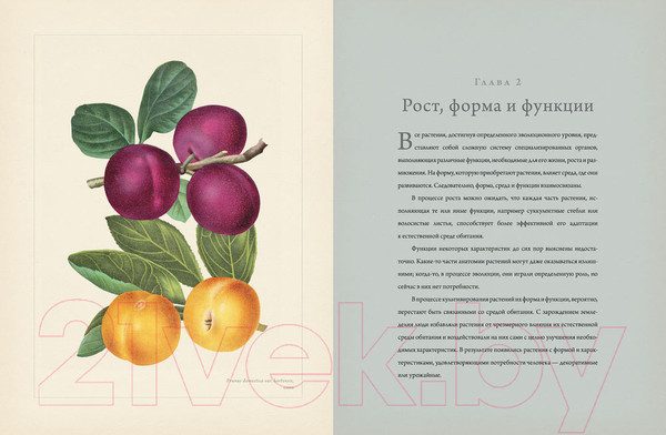 Изображение товара Книга КоЛибри Ботаника для садоводов (Ходж Дж.)