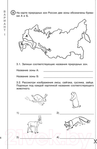 Изображение товара Сборник контрольных работ АСТ Окружающий мир за курс нач. школы. Интенсивная подготовка к ВПР (Узорова О.В., Нефедова Е.А.)