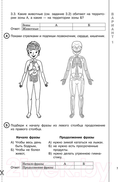 Изображение товара Сборник контрольных работ АСТ Окружающий мир за курс нач. школы. Интенсивная подготовка к ВПР (Узорова О.В., Нефедова Е.А.)