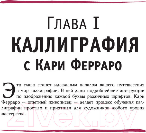 Изображение товара Нехудожественная книга АСТ Основы каллиграфии и леттеринга. Академия рисования (Ферраро К. и др)