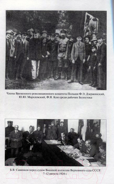 Изображение товара Книга Вече Особый отдел ВЧК против польской разведки 1918–1921 гг. (Сафонов В., Мозохин О.)