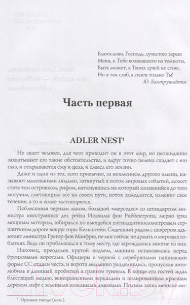 Изображение товара Книга Вече Ключ Победы. Наступление на Восток (Каролинский Г.)