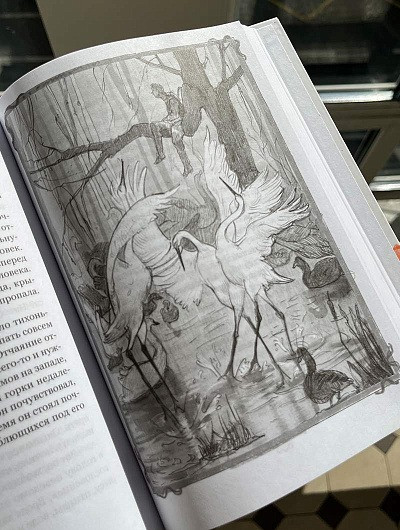 Изображение товара Книга Никея Повелитель и пешка (Герус Мария)