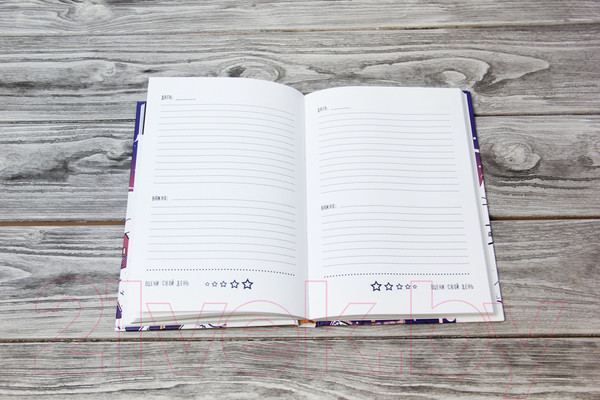 Изображение товара Творческий блокнот АСТ Большой снежный дневник (Полярный А.)