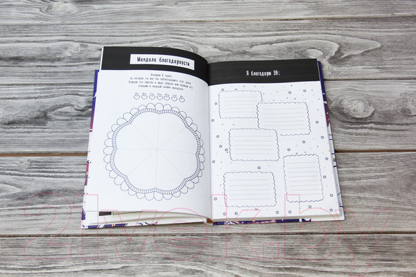 Изображение товара Творческий блокнот АСТ Большой снежный дневник (Полярный А.)