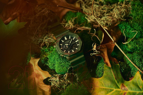 Изображение товара Часы наручные мужские Casio GAE-2100WE-3A