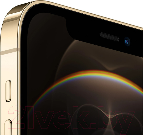 Изображение товара Смартфон восстановленный Apple iPhone 12 Pro 256GB Flip Грейд A (золото)