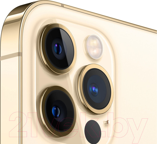 Изображение товара Смартфон восстановленный Apple iPhone 12 Pro 256GB Flip Грейд A (золото)