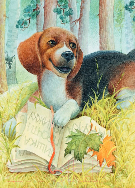 Изображение товара Книга Эксмо Любимые сказки и рассказы (Ушинский К.Д.)