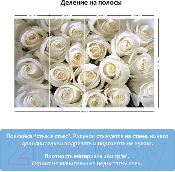 Изображение товара Фотообои листовые Citydecor Бутоны роз (400x254)