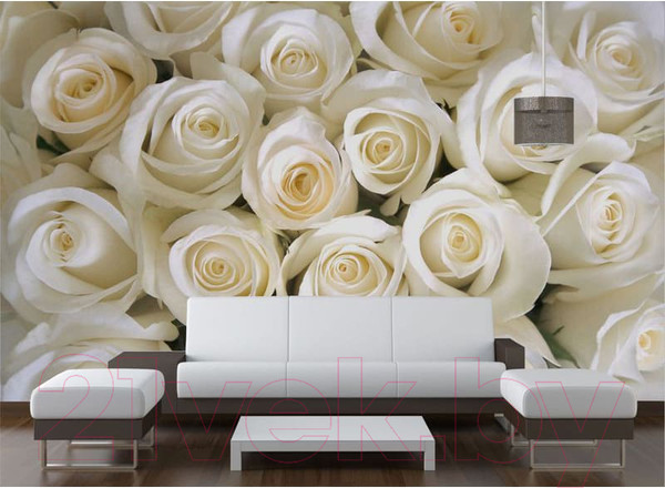 Изображение товара Фотообои листовые Citydecor Бутоны роз (400x254)