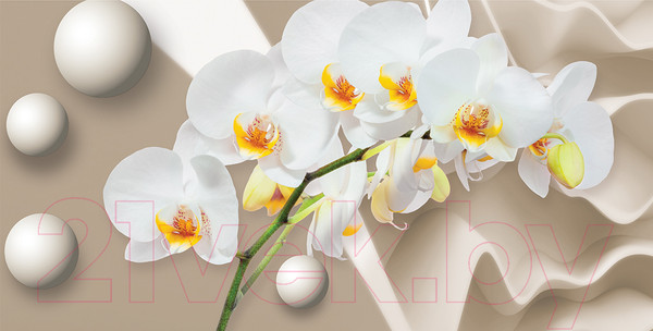 Изображение товара Фотообои листовые Citydecor Цветочный декор 6 3D (500x254)