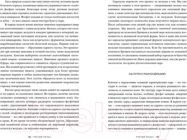 Изображение товара Книга Азбука Заново изобретая колесо (Персиваль Б., Персиваль Ф.)