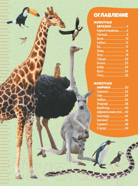 Изображение товара Энциклопедия АСТ Большие и маленькие животные (Дорошенко М.А.)