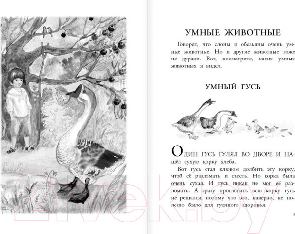 Изображение товара Художественная книга АСТ Великие путешественники. Рассказы про детей (Зощенко М.М.)