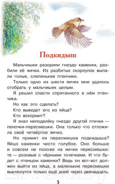 Изображение товара Книга АСТ Рассказы о животных (Бианки В.В.)