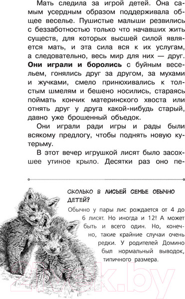 Изображение товара Книга АСТ Рассказы о природе. Самые лучшие рассказы о живой природе (Сетон-Томпсон Э.)