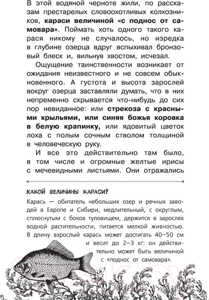 Изображение товара Книга АСТ Рассказы о родной природе (Паустовский К.Г.)