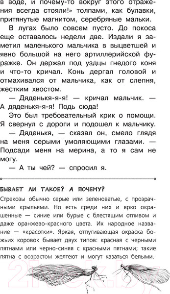 Изображение товара Книга АСТ Рассказы о родной природе (Паустовский К.Г.)