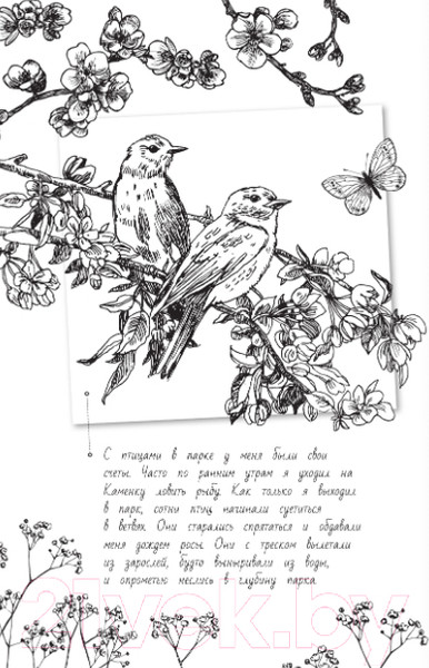 Изображение товара Книга АСТ Рассказы о родной природе (Паустовский К.Г.)