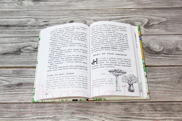 Изображение товара Книга АСТ Рассказы о родной природе (Паустовский К.Г.)