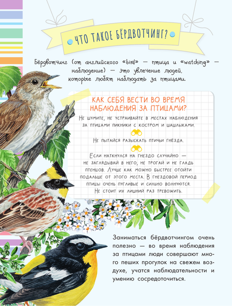 Изображение товара Энциклопедия АСТ Птицы. Мой первый определитель природы, полумягкая обложка (Рахчеева Мария)