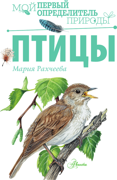Изображение товара Энциклопедия АСТ Птицы. Мой первый определитель природы, полумягкая обложка (Рахчеева Мария)