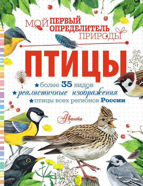 Изображение товара Энциклопедия АСТ Птицы. Мой первый определитель природы, полумягкая обложка (Рахчеева Мария)