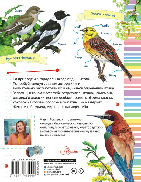 Изображение товара Энциклопедия АСТ Птицы. Мой первый определитель природы, полумягкая обложка (Рахчеева Мария)