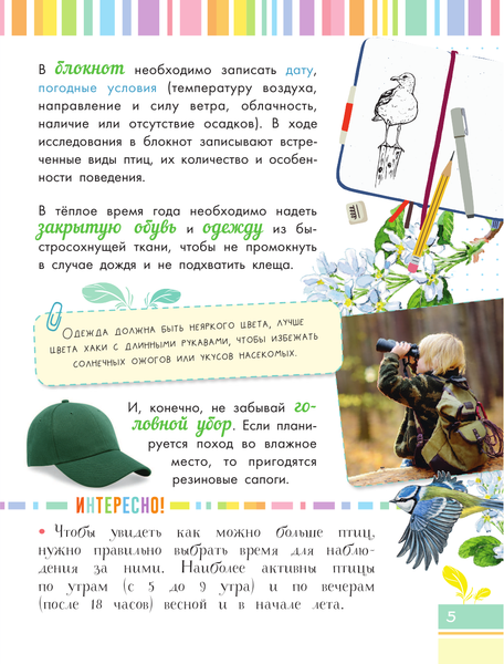 Изображение товара Энциклопедия АСТ Птицы. Мой первый определитель природы, полумягкая обложка (Рахчеева Мария)