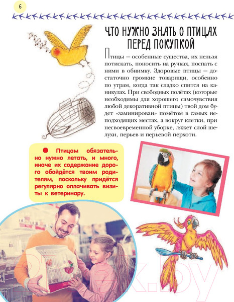 Изображение товара Энциклопедия АСТ Птицы. Мой первый питомец (Аронова Н.Л.)