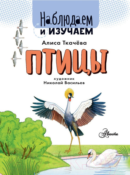 Изображение товара Энциклопедия АСТ Птицы. Наблюдаем и изучаем (Ткачева А.А.)