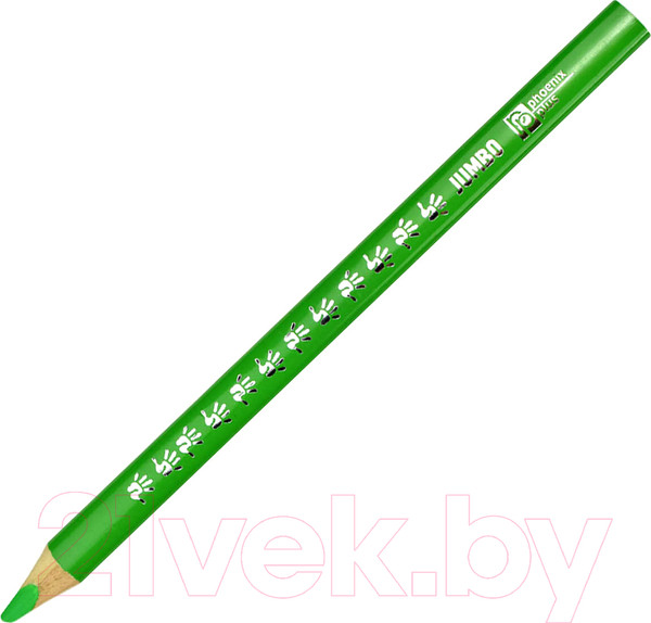 Изображение товара Набор цветных карандашей Феникс+ Енот-Пухляш / 58584 (12шт)