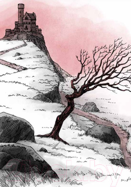 Изображение товара Книга Никея Замок-откуда-нет-возврата (Смирнова О.)