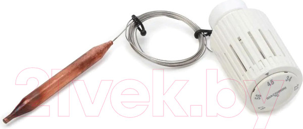 Изображение товара Головка термостатическая Giacomini R462LX001