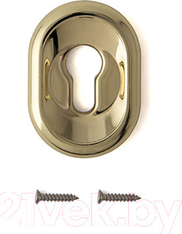 Изображение товара Накладка под сувальдный ключ Avers DP-13-C-G (золото)