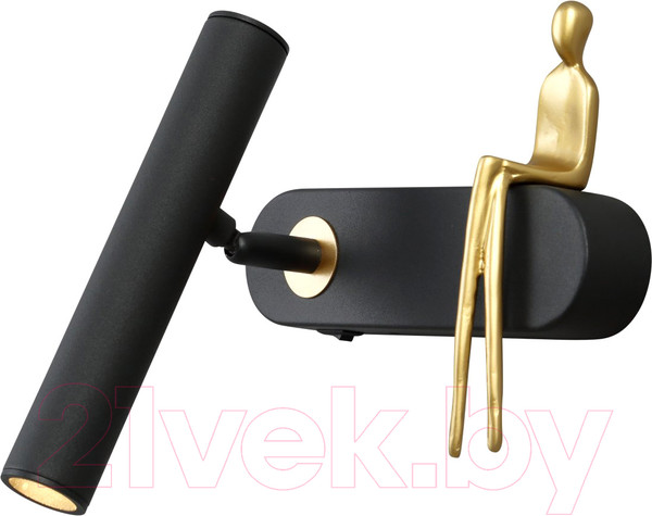 Изображение товара Спот Arte Lamp 18 Albert A2173AP-1BK