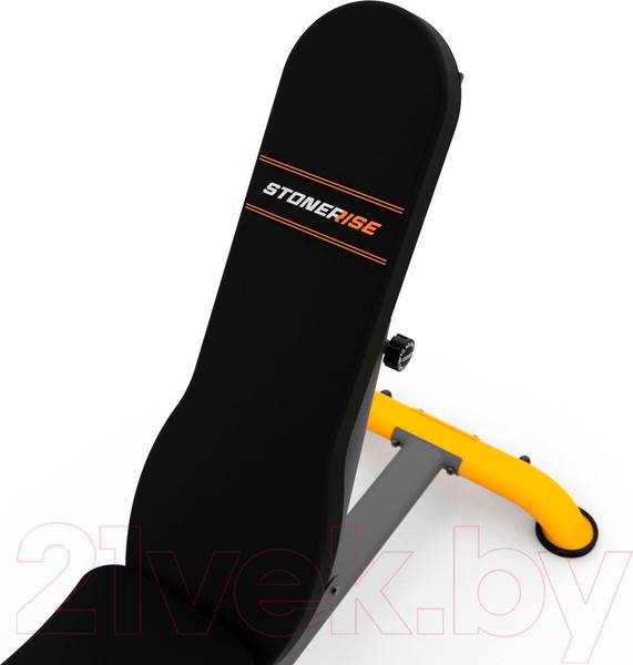 Изображение товара Скамья многофункциональная Stonerise DS01